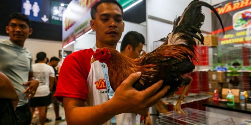 Một vài biến thể trong trò chơi