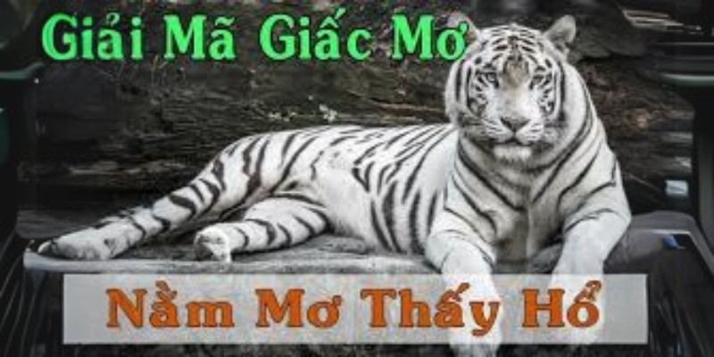 Ý nghĩ nằm mơ thấy hổ còn phục thuộc vào tình huống