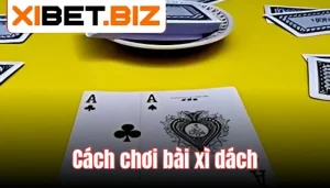 Cách Chơi Xì Dách Luôn Thắng